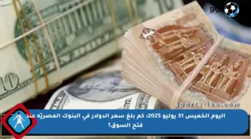اليوم الخميس 31 يوليو 2025: كم بلغ سعر الدولار في البنوك المصريّة عند فتح السوق؟